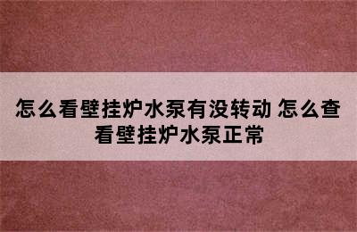 怎么看壁挂炉水泵有没转动 怎么查看壁挂炉水泵正常